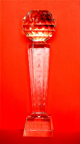 奖杯1_副本.jpg